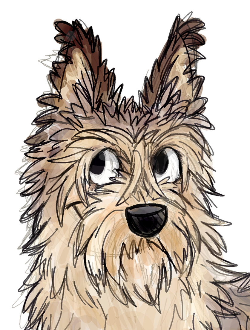 Thinking - The WHY part